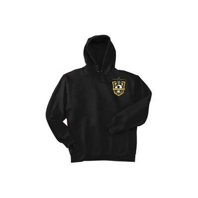 Region 42 Allstar Logo Hoodie (Black)