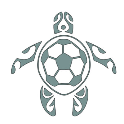 Soccer Turtle Window Sticker