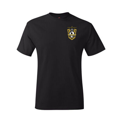 Region 42 Allstar T-shirt w/Badge (Black)