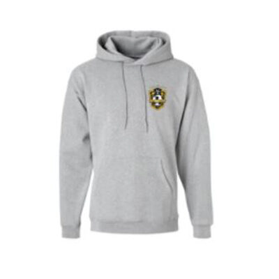 Region 42 Allstar Logo Hoodie (Sports Grey)