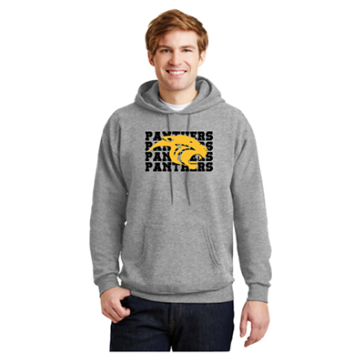 Panthers Hooded Sweatshirt (Sports Grey)