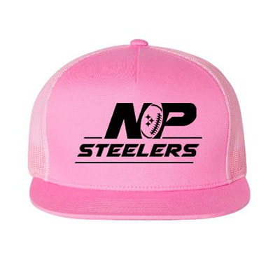 NP Steelers Hat Pink